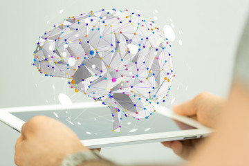 中科院植物园有多少种植物