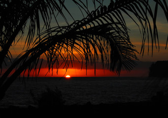 我要将长句改成短句