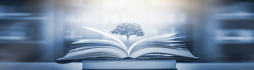 动植物的小知识