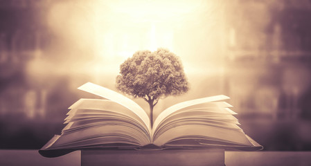 低碳生活有哪些-请举1o个例子