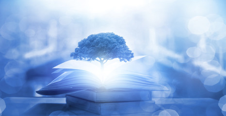 “早点休息”用广东话怎么说