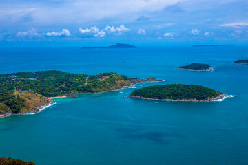 动植物的小知识
