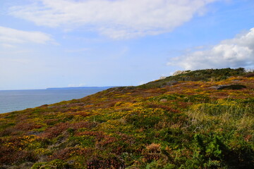 HI元宇宙是哪个公司,元宇宙公司是什么意思