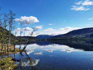 这句话的意思是什么？