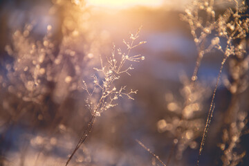 大学课堂如何在书上做好笔记——四色笔记法