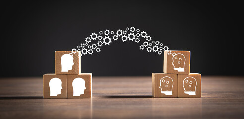 制作叶脉标本的药品 可以用家里的东西代替吗？