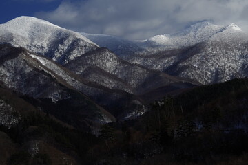 怎样研究消费者的购买心理？