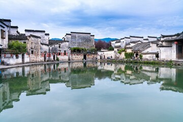 制作叶脉标本的药品 可以用家里的东西代替吗？