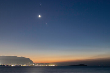 动植物的小知识