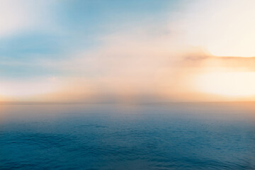 中科院植物园有多少种植物