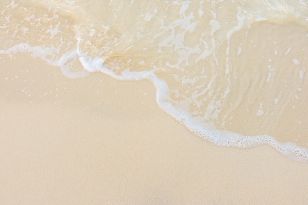 这句话的意思是什么？