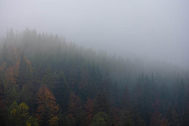 大学课堂如何在书上做好笔记——四色笔记法