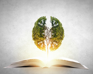 大学课堂如何在书上做好笔记——四色笔记法