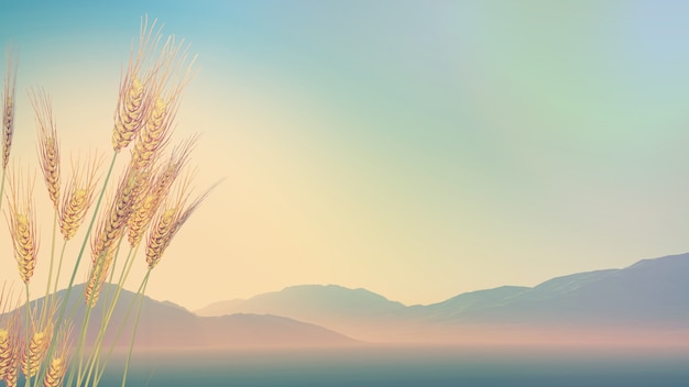 HI元宇宙是哪个公司,元宇宙公司是什么意思