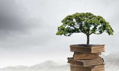 这句话的意思是什么？