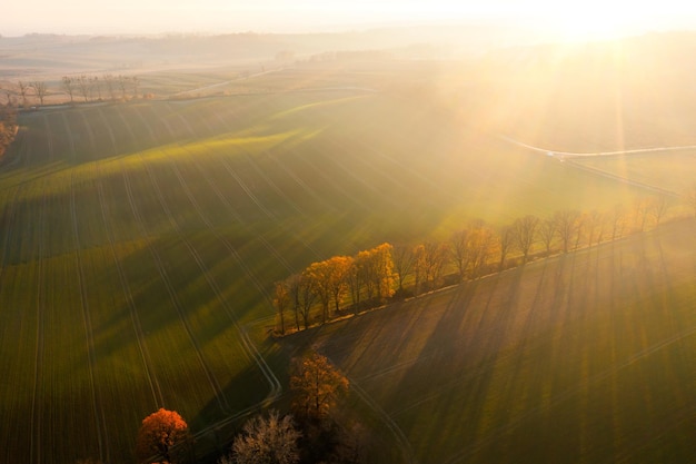 预防传染病手抄报内容