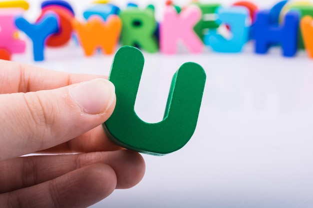 动植物的小知识