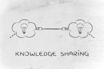 动植物的小知识